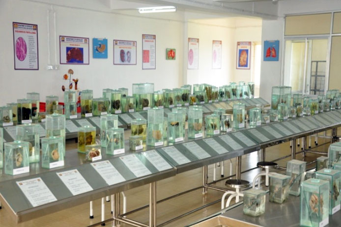 Shree Krishna College of Pharmacy